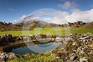 Azorean pastures