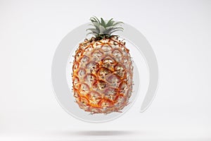 Azorean Pineapple (Ananas) fruit suspended in the air isolated on a white background. Azores Typical fruit. photo