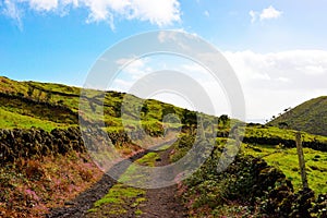 Azores Countryside Scene, Rural Landscape, Green Lush Grass, Colorful Flowers, Cobblestone Walls, Dirt Road, Travel Portugal