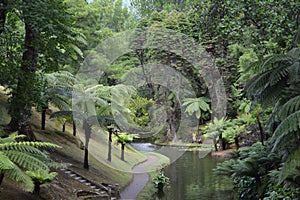 Azores, Furnas