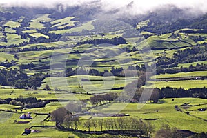 Azores: Green fields