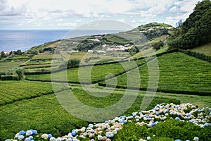 Azores - Ilha de SÃ£o Miguel  - Portugal