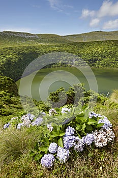 Azores landscape with lake in Flores island. Caldeira Funda. Portugal