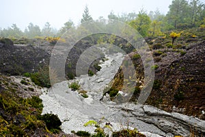 Azores Monte Escuro peak lawa paths photo