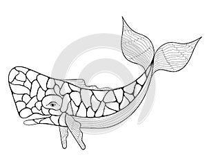 Azores Sperm Whale, Cachalot in Zentangle style.