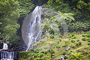 Azores: Waterfall