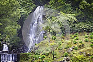 Azores: Waterfall