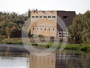 Azraq wetland reserve, Jordan