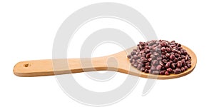 Azuki Bean On Wooden Spoon II