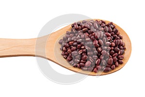 Azuki Bean On Wooden Spoon V