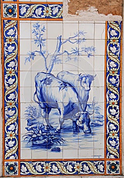 Azulejo photo