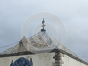 Azulejo PortuguÃªs - Memory Hermitage