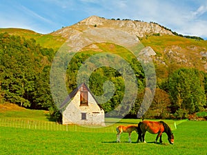 AZUN Valley in the high French Pyrenees photo