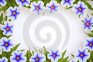 Azure blue pimpernel floral frame with white copy space at the center.