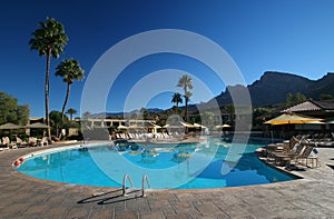 Azure blue swimming pool with palm