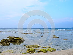 Azure Clean Sea Water with Underwater Stones and Blue Sky - Natural Background - Neil Island, Andaman Nicobar, India