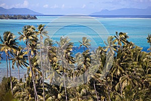 Azure lagoon of island BoraBora, Polynesia. Mountains, the sea, palm trees.