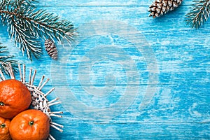 Azure wood background. Green fir tree. Fruit with mandarin. Christmas greeting card and new year.