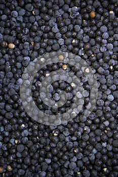 AÃÂ§aÃÂ­ Acai Berries Brazilian Farmers Market photo