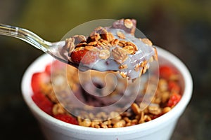 AÃÂ§aÃÂ­ na tigela