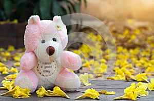 Aâ€‹ Pink Teddy Bear sitting in the garden with yellow flower fall background,loneliness concept