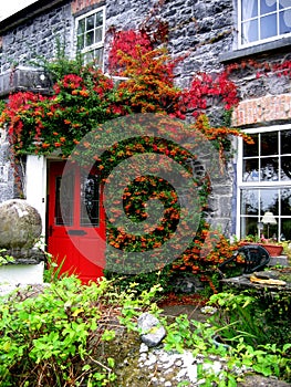 B&B in Athenry, Ireland