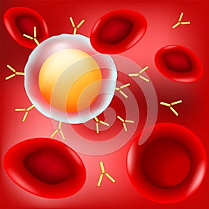 B-cell, antibodies, and red blood cells in blood flow on red background photo