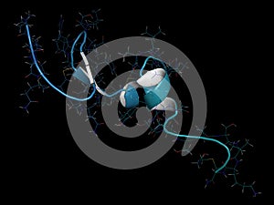 B-cell maturation antigen (BCMA, extracellular domain) protein. 3D rendering based on protein data bank entry 2kn1