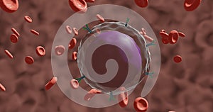 B lymphocyte with membrane receptors (antibodies or immunoglobulins) in 3d illustration