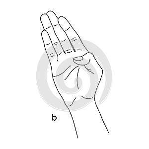 B is the second letter of the alphabet in sign language. Vector graphics isolated image of a hand with a spread out palm