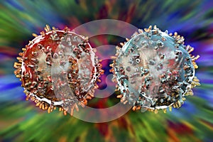 B- and T-lymphocytes. Immune cells