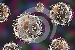 B- and T-lymphocytes. Immune cells