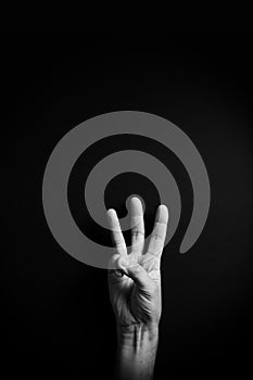B&W image of hand demonstrating ASL sign language letter W with empty copy space