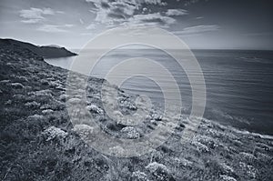 B&W mountain and sea landscape