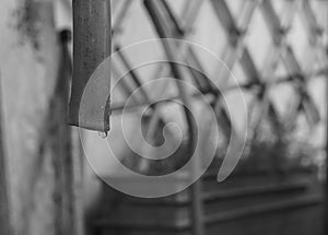 B&W water drops from rubber tube in home garden as droughts problem in global warming