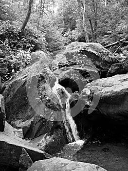 B&W Waterfall in the Woods