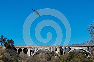 B2 Stealth Bomber flyover Colorado Street Bridge in Pasadena, California