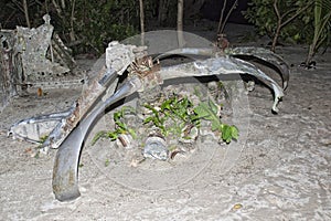 B52 propeller on sandy beach