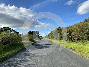 B6451 road, with grass verges, and trees in, Darley, Harrogate, UK