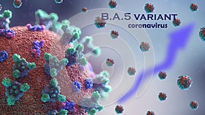 BA.5 omikron variant of the coronavirus spreads fast photo