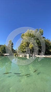 BaÃ±os de las Mulas in Lagunas de Ruidera in Castilla la Mancha, Spain. photo