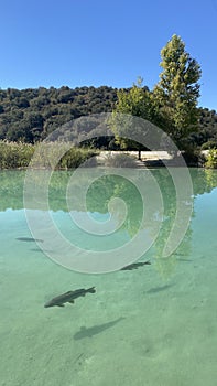 BaÃ±os de las Mulas in Lagunas de Ruidera in Castilla la Mancha, Spain. photo