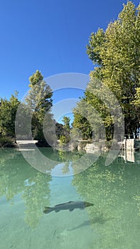 BaÃ±os de las Mulas in Lagunas de Ruidera in Castilla la Mancha, Spain. photo