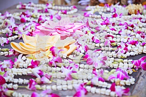 Baai Sri Trays and Flower Garlands offering in Thai Buddhism Brahman ceremony to console peopleâ€™s life spirit to return to body