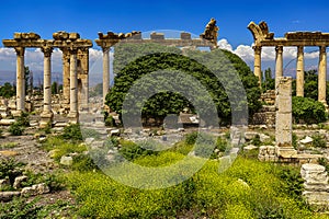 Baalbek, Archaeological Site, Lebanon