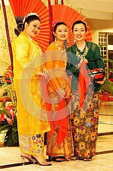 Baba nyonya costumes