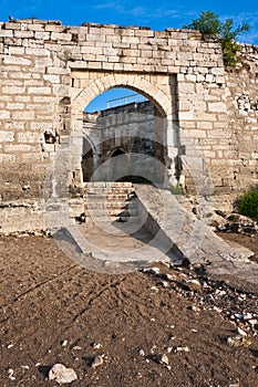 Baba Vida Ruins photo