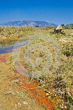 Babai River, Royal Bardia National Park, Nepal