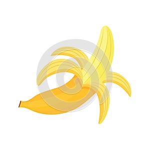 a babana frut vector icon, art work, cartoon style photo