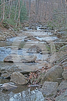 Babbling brook in Asheville North Carolina